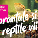 Expoziție tarantule și reptile