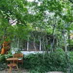 grădina / Cartierul Armenesc