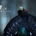 Lynx Festival de documentare de natură