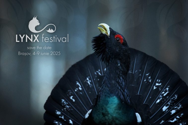 Lynx Festival de documentare de natură