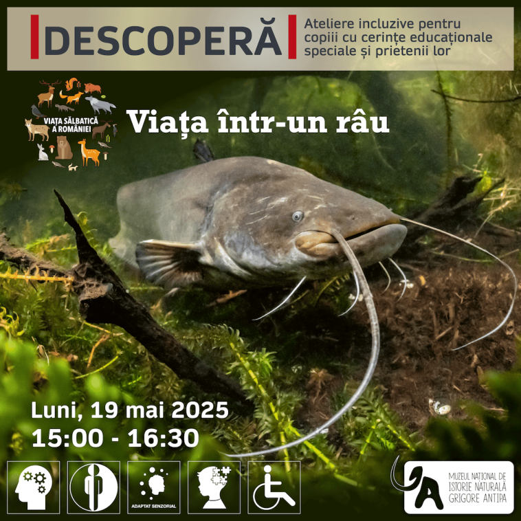 viața într-un râu