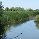 Delta Dunării România