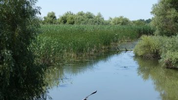 Delta Dunării România