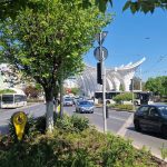 plantări înverzire oraș Capitală