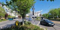 plantări înverzire oraș Capitală