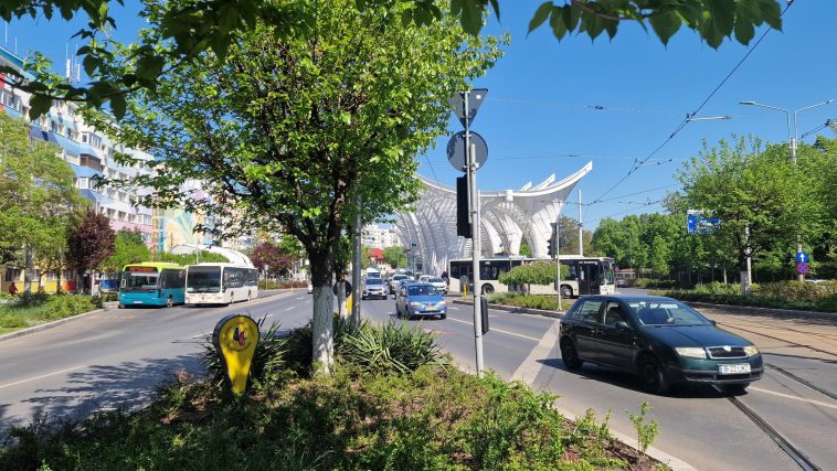 plantări înverzire oraș Capitală