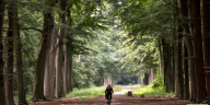 Breda parc național