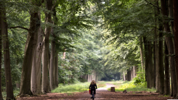 Breda parc național