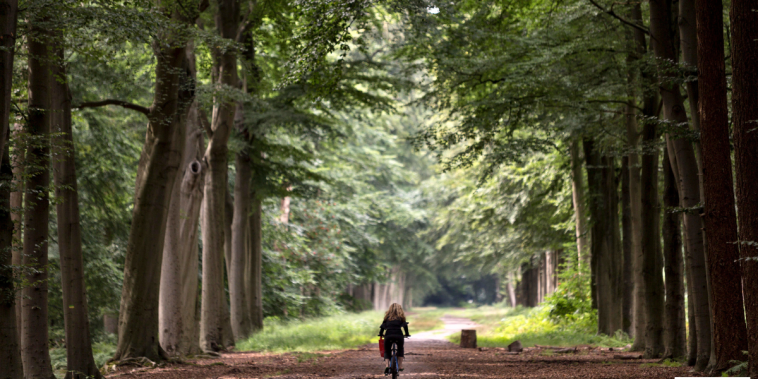 Breda parc național