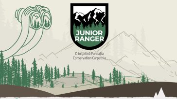 Junior Ranger