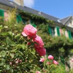 florile de primăvară Giverny