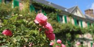 florile de primăvară Giverny