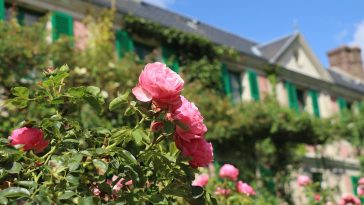 florile de primăvară Giverny