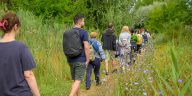 Administrația Parcul Natural Văcărești