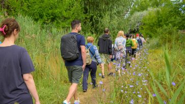 Administrația Parcul Natural Văcărești