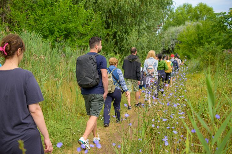 Administrația Parcul Natural Văcărești