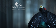 Festivalul LYNX