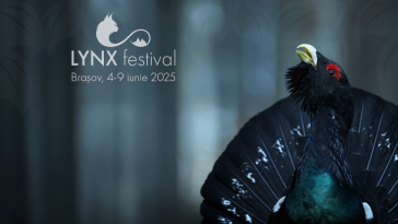 Festivalul LYNX