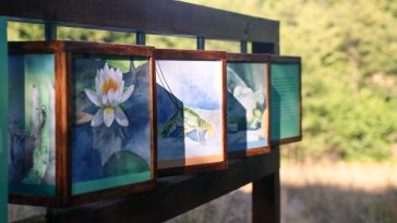 Traseul Arhitecții Naturii