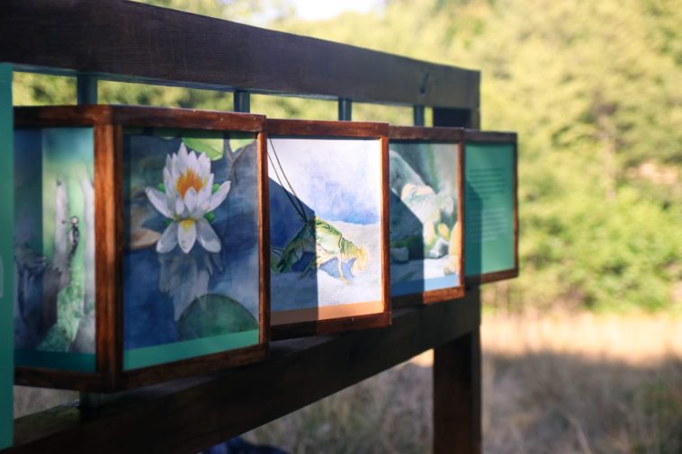 Traseul Arhitecții Naturii