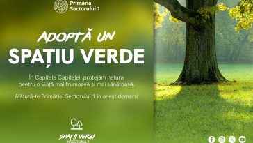 Primăria Sector 1 spații verzi
