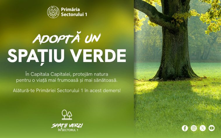 Primăria Sector 1 spații verzi