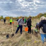 Parcul Natural Văcărești