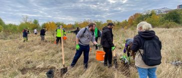 Parcul Natural Văcărești