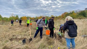 Parcul Natural Văcărești