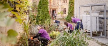 WWf România Muzeul Hărților