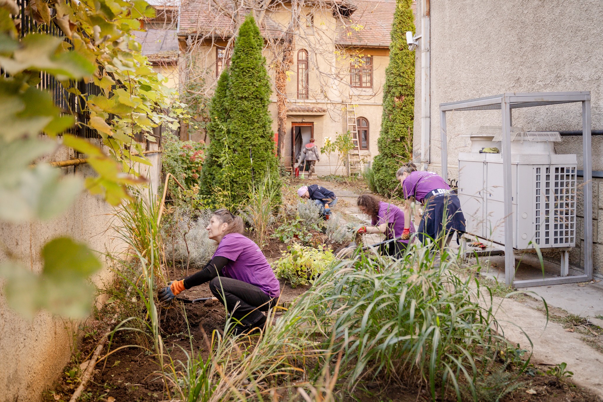 WWf România Muzeul Hărților